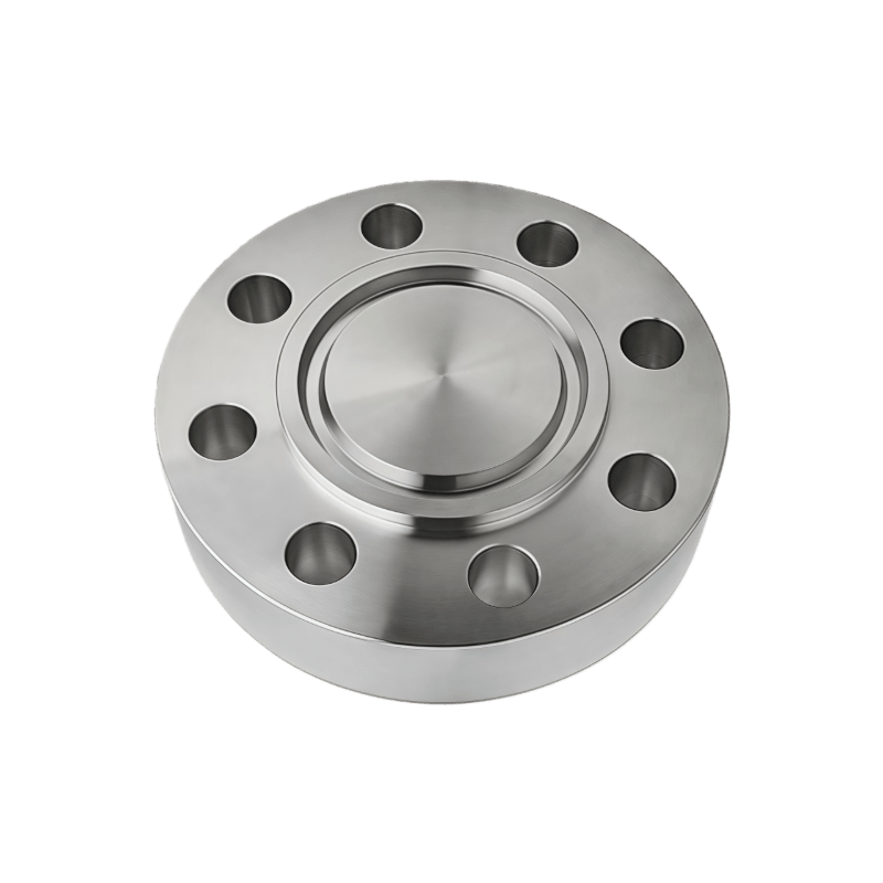 Stainless Steel Non-standard Blind Flanges